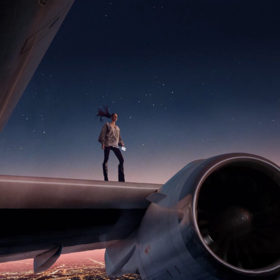 Visa Bambi standing on an airplane