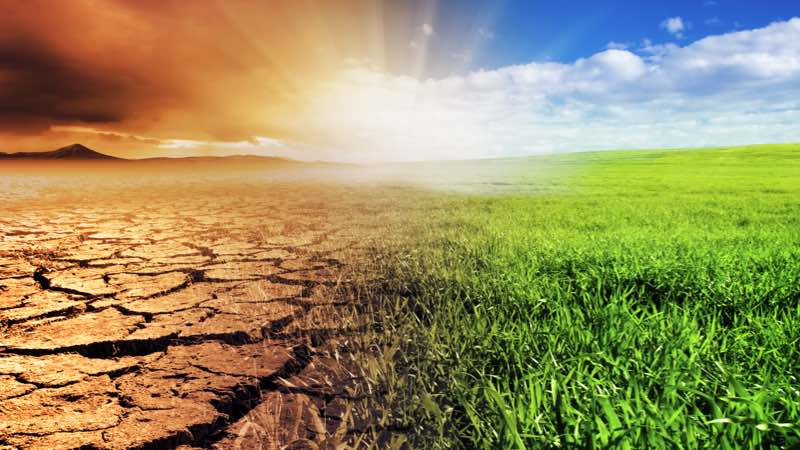 Imagem de uma paisagem devastada da metade para a esquerda e a outra direita uma paisagem natural preservada